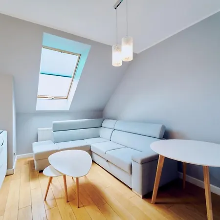 公寓 Blekitny Sauna Zdroj 波兰尼卡-兹德鲁伊