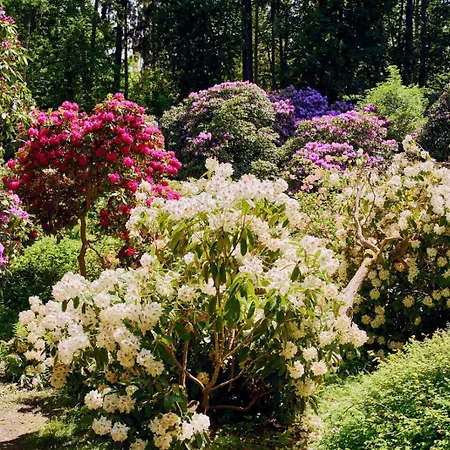 Błękitny Sauna Zdrój Apartamento Polanica-Zdrój
