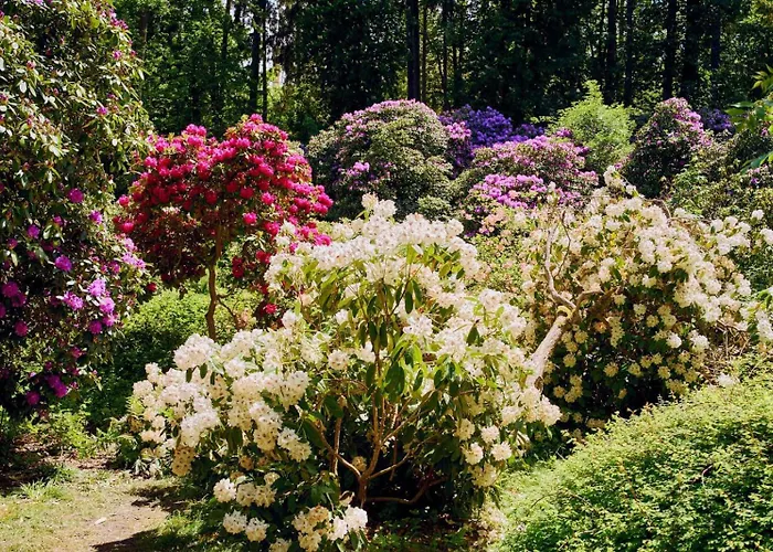 Marel-apartament Blekitny Sauna Zdroj 아파트 폴라니카-즈루이